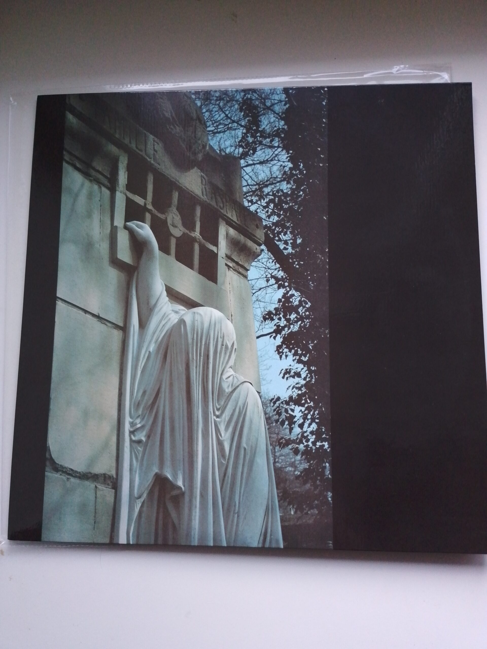 Dead Can Dance - Within The Realm Of A Dying Sun