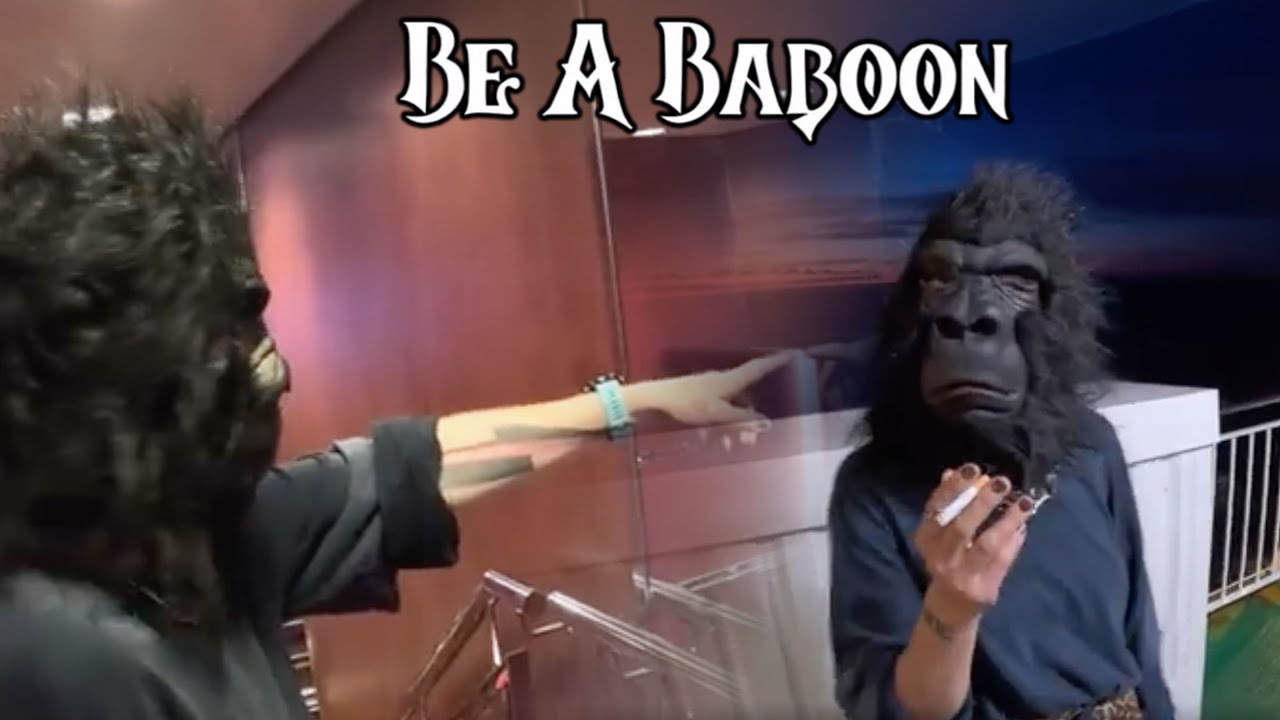 The Baboon Show - Be A Baboon