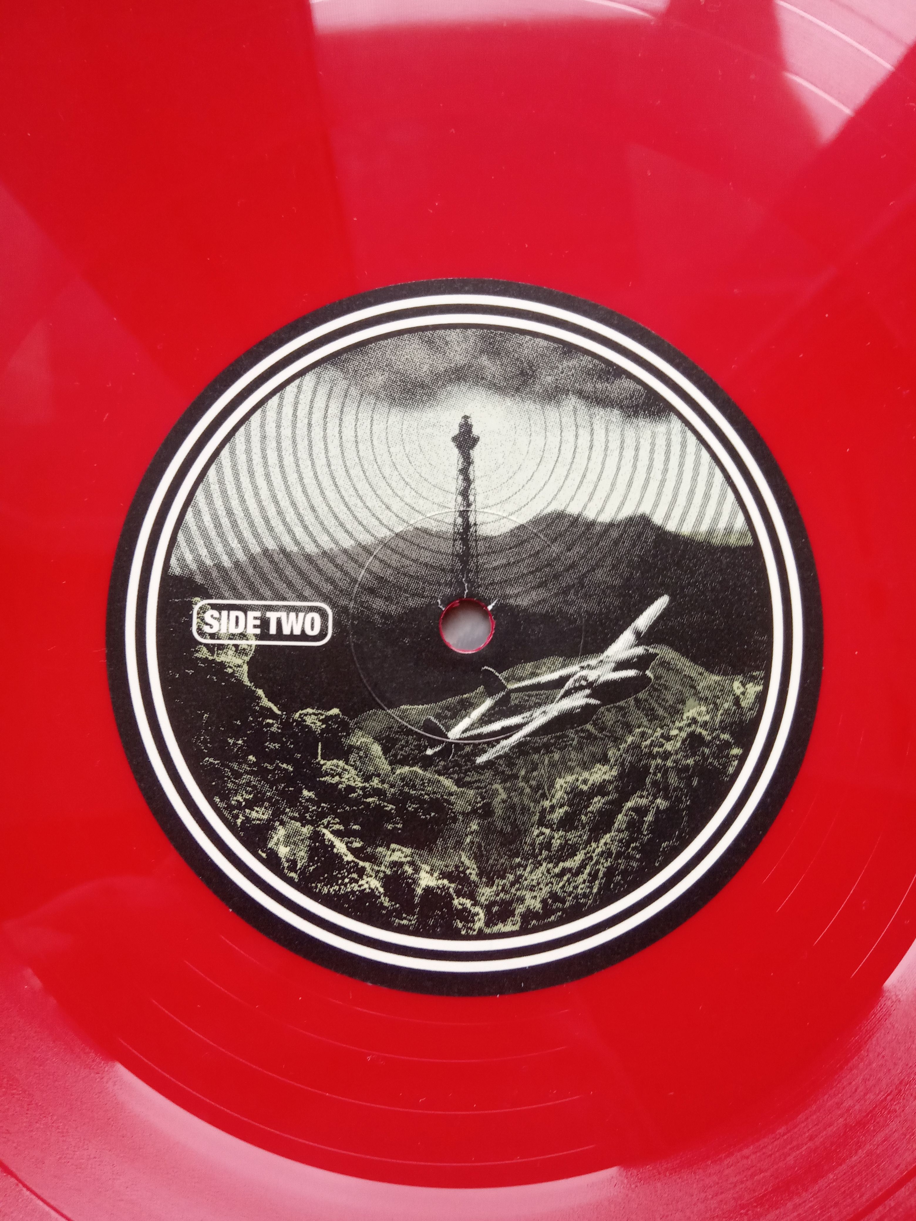 The Baboon Show — Radio Rebelde